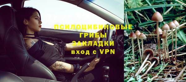 apvp Армянск